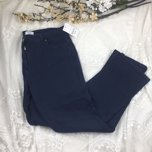 Weill Denim Navy Pants